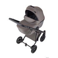 Универсальная коляска Anex E/type 2022 (2 в 1, gothic et-03A)