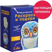 Набор для рисования Раскрась и подари Сова IG-1028