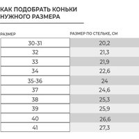 Коньки Winter Star Basic 10386676 (р. 39)