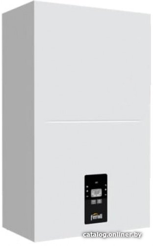 Отопительный котел Ferroli Tor 12