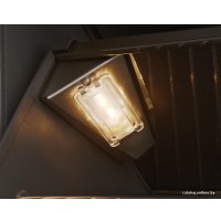 Газовый гриль для дачи Napoleon Prestige PRO-665