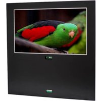 Телевизор AVEL AVS220OF