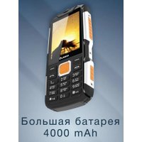 Кнопочный телефон Olmio X14 (черный/оранжевый)