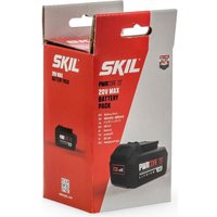 Аккумулятор Skil BY5196SE00 (20В/4 Ah)