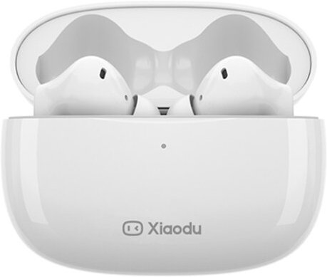 

Наушники Xiaodu Du Smart Buds Pro