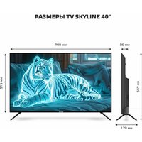 Телевизор Skyline 40LST6385 в Пинске