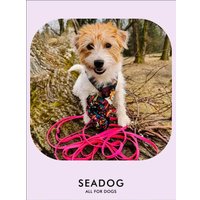 Поводок Seadog Водонепроницаемый (2м, neon pink)
