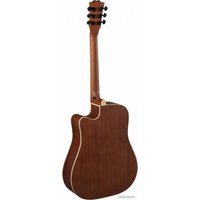 Акустическая гитара Terris TD-045 NA Starter Pack