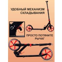 Двухколесный подростковый самокат Megacity Paris 2K-13