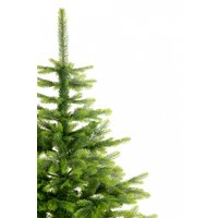 Ель Erbis Swierk Natura 180