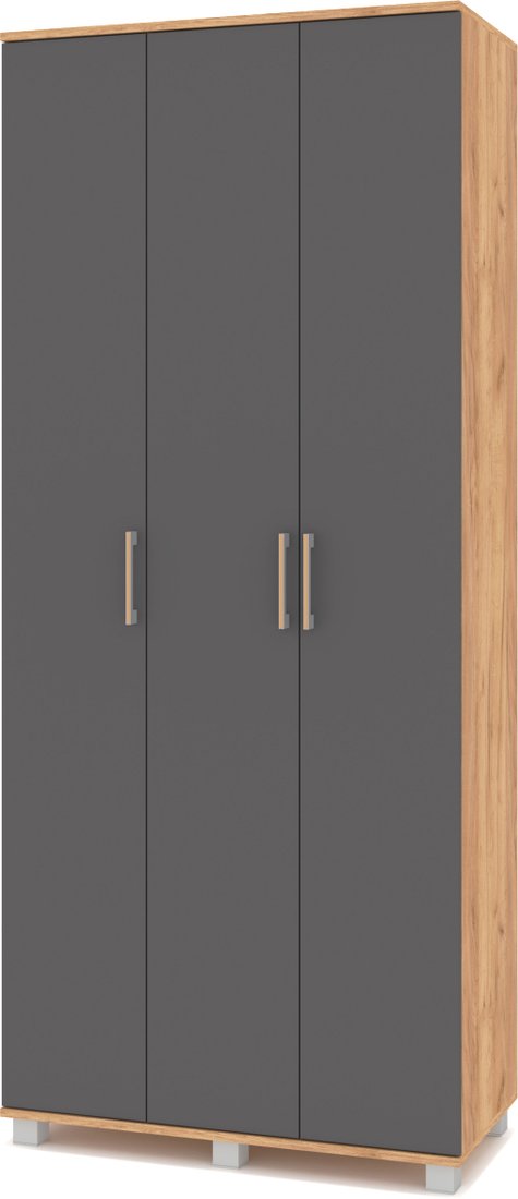 

Шкаф распашной Modern Карина К31 (золотой дуб/графит)