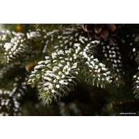 Ель GreenTerra Квебек 2.2 м