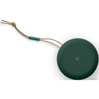 Беспроводная колонка Bang & Olufsen Beosound A1 2nd Gen (зеленый)