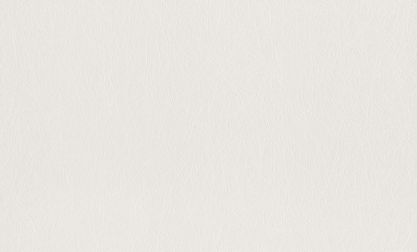 

Флизелиновые обои Rasch 124514