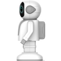 Робот Topjoy Robert RS01