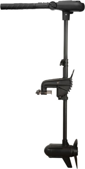 

Лодочный мотор Haswing Protruar 1.0 12V