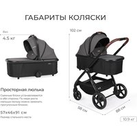 Универсальная коляска Tomix Selena 2в1 P02 (черный)