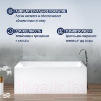 Ванна Lauter Seraphina 170x80 2112170R (с ножками)