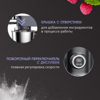 Кухонная машина Zigmund & Shtain De Luxe ZKM-994