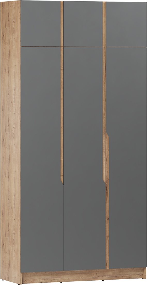 

Шкаф распашной ЭлиГард Aura 3Dа (дуб вотан/графит)