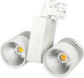 LGD-2271WH-2x30W-4TR Warm White 022055