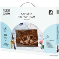Картина по номерам Три совы Рыжик КХ_44173