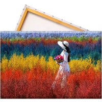 Solmax&Creators Девушка на лугу SM98457