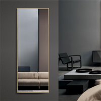 Зеркало Алмаз-Люкс М-469 160х60 см (золото)