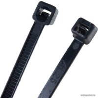 Стяжка для кабеля SmartBuy SBE-CT-36-300-b 3.6x300 (100 шт, черный)