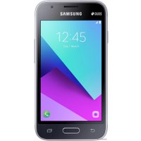 Телефон Samsung J1 Mini Prime 2016 (черный) [J106F/DS]