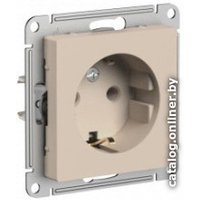 Розетка Schneider Electric AtlasDesign ATN001243 в Орше