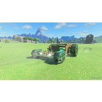  The Legend of Zelda: Tears of the Kingdom для Nintendo Switch