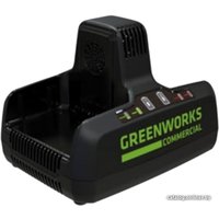 Зарядное устройство Greenworks G82C2 (2x82В)