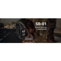 Фитнес-браслет Maxvi SB-01 (черный)