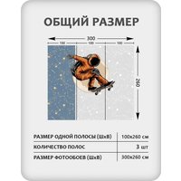 Фотообои Citydecor Universe 40 (300x260см)