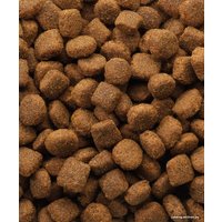 Сухой корм для собак Versele Laga Classic Lamb & Rice 20 кг