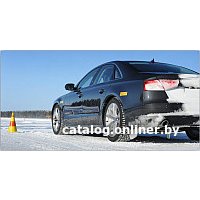 Зимние шины Pirelli Winter Ice Zero 275/50R20 113T