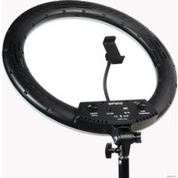 Кольцевая лампа Falcon Eyes BeautyLight 480RC LED