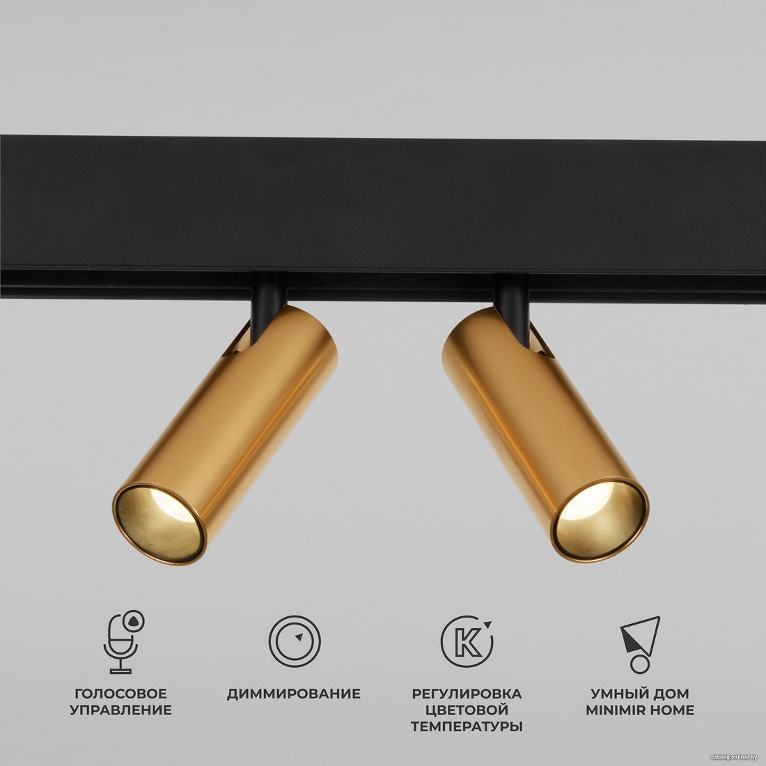 Точечный светильник Elektrostandard Slim Magnetic Dim Dual 85056/01 (латунь)