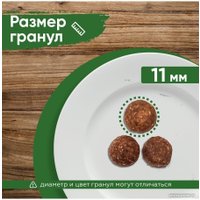 Сухой корм для собак Statera Для взрослых всех пород с курицей и рисом STA043 (3 кг)