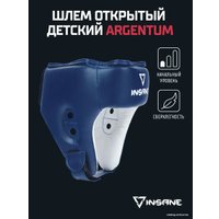 Cпортивный шлем Insane Argentum IN22-HG100 XS (синий)