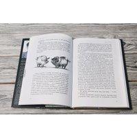 Книга издательства АСТ. Скотный двор 978-5-17-146514-8 в Лиде