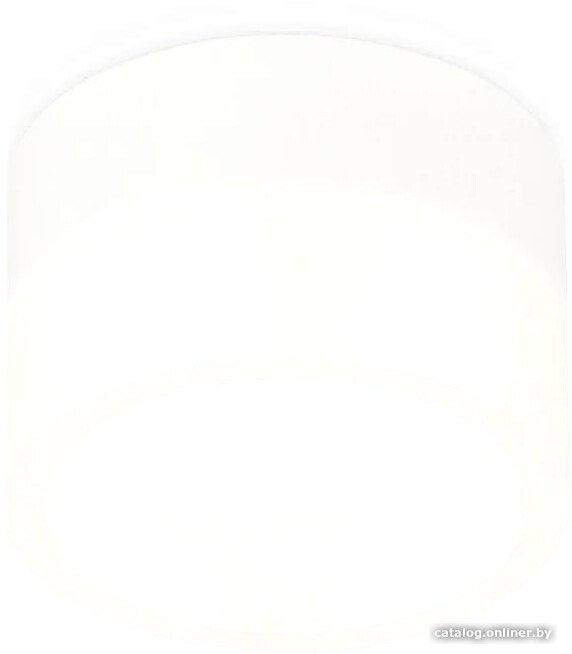 Точечный светильник Ambrella light Techno spot XS8101015 SWH/FR