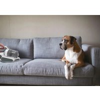 Пылесос для удаления пылевых клещей Hoover HMC510UV 011