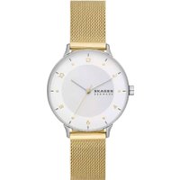 Наручные часы Skagen SKW3092