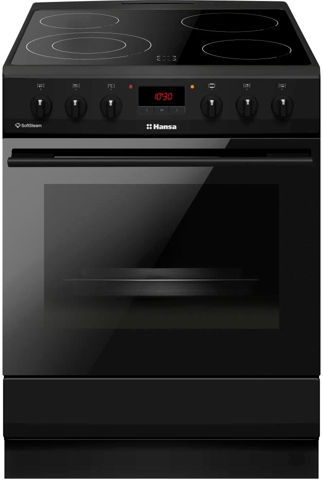 

Кухонная плита Hansa FCCM58209H