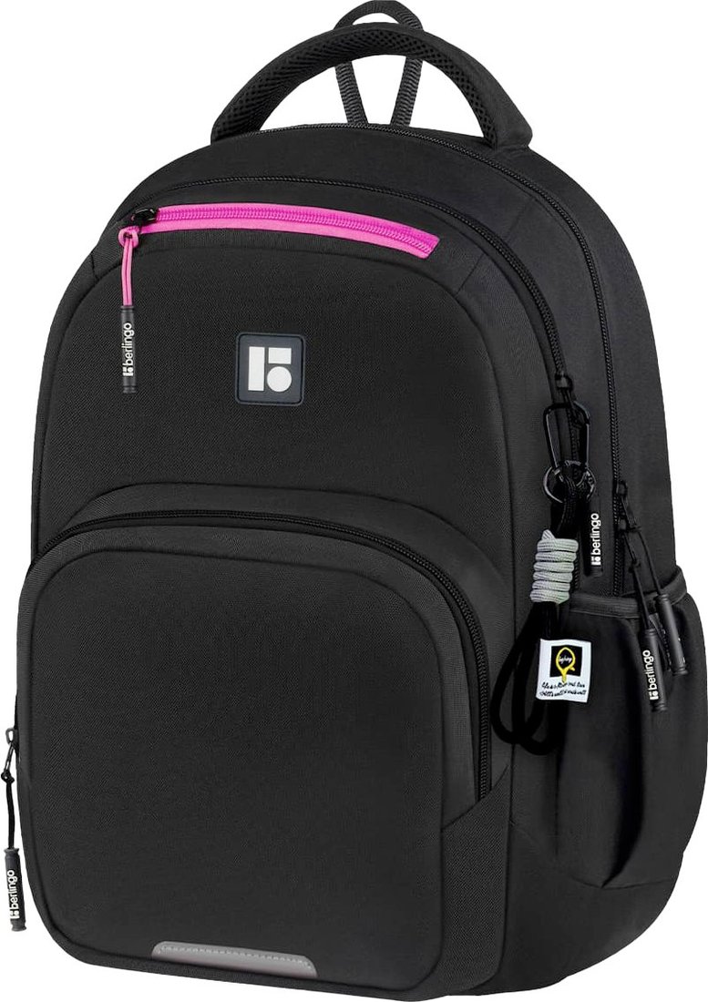

Школьный рюкзак Berlingo ErgoFlex. Youth Fusion RU-FL-2502