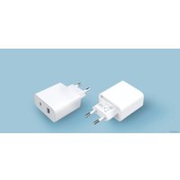 Сетевое зарядное Xiaomi Mi 33W Wall Charger AD332EU (международная версия)