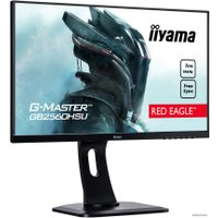 Игровой монитор Iiyama G-Master Red Eagle GB2560HSU-B1