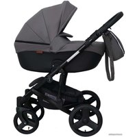 Универсальная коляска Ray Corsa Ecco (2 в 1, 28)
